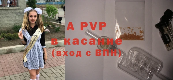 стафф Абинск
