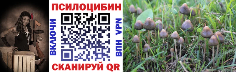 Псилоцибиновые грибы GOLDEN TEACHER  Лебедянь 